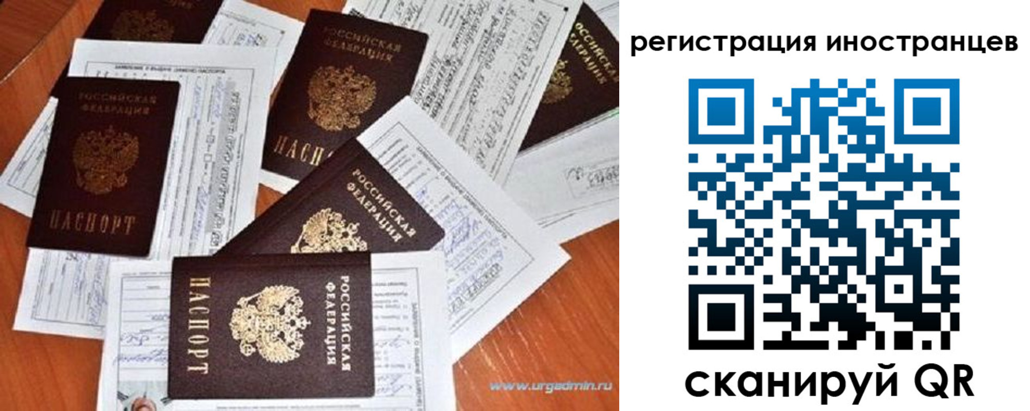 временная регистрация гарантия в Красном Сулине